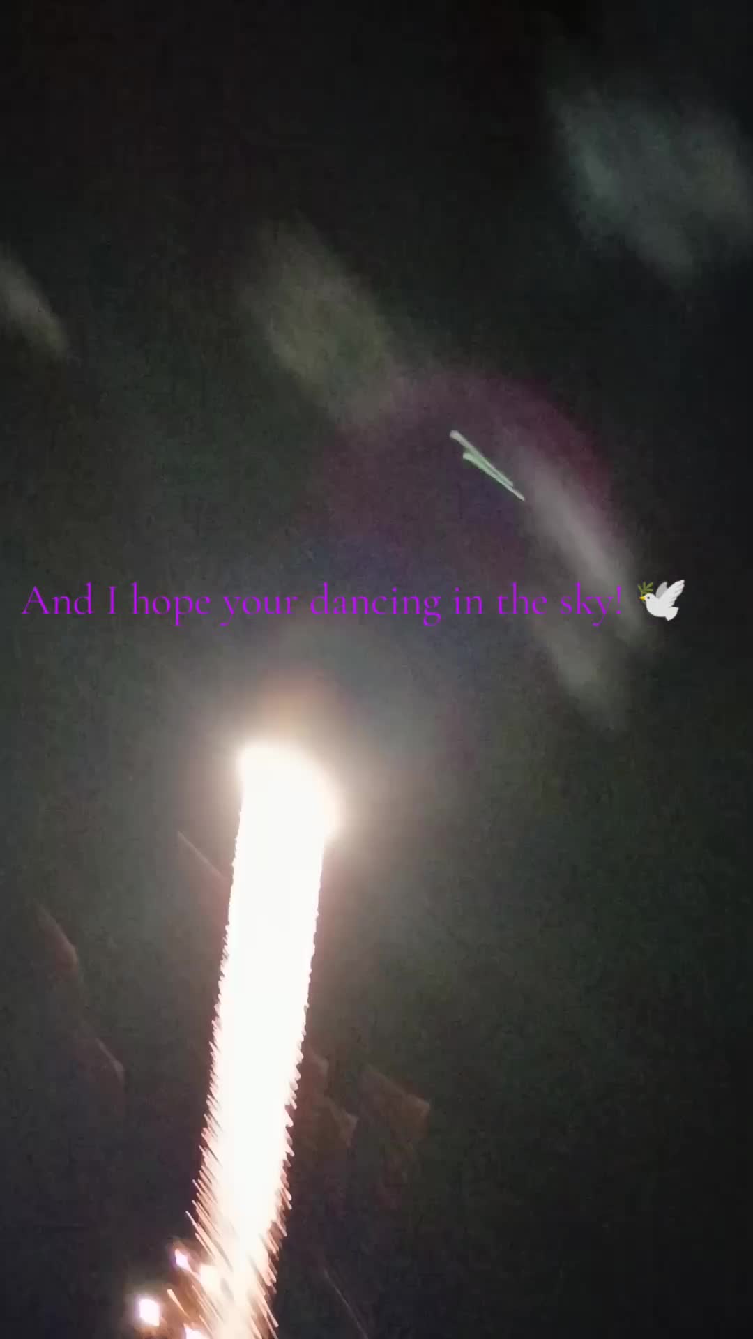 @❀⋆.ೃ࿔*:・ꩇׁׅ݊ꫀׁׅܻᨵׁׅᨰׁׅ ⚞^. .^⚟