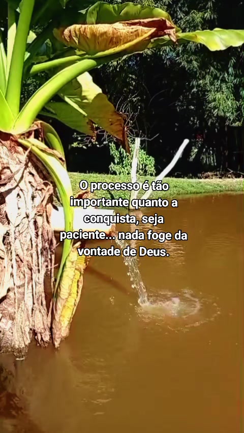 @Nathalia Gabrielly