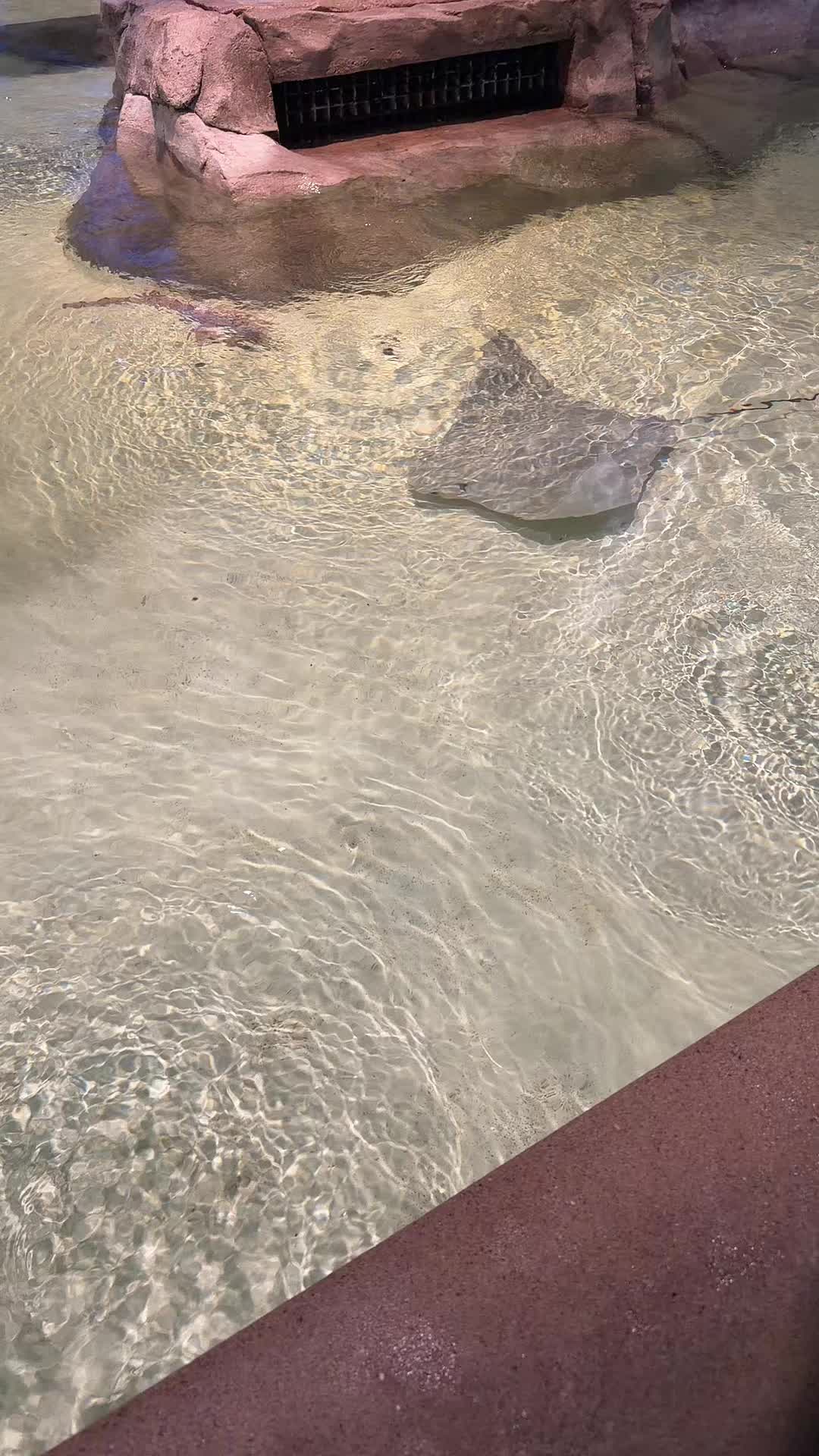 @Mary Ba&ntilde;uelos