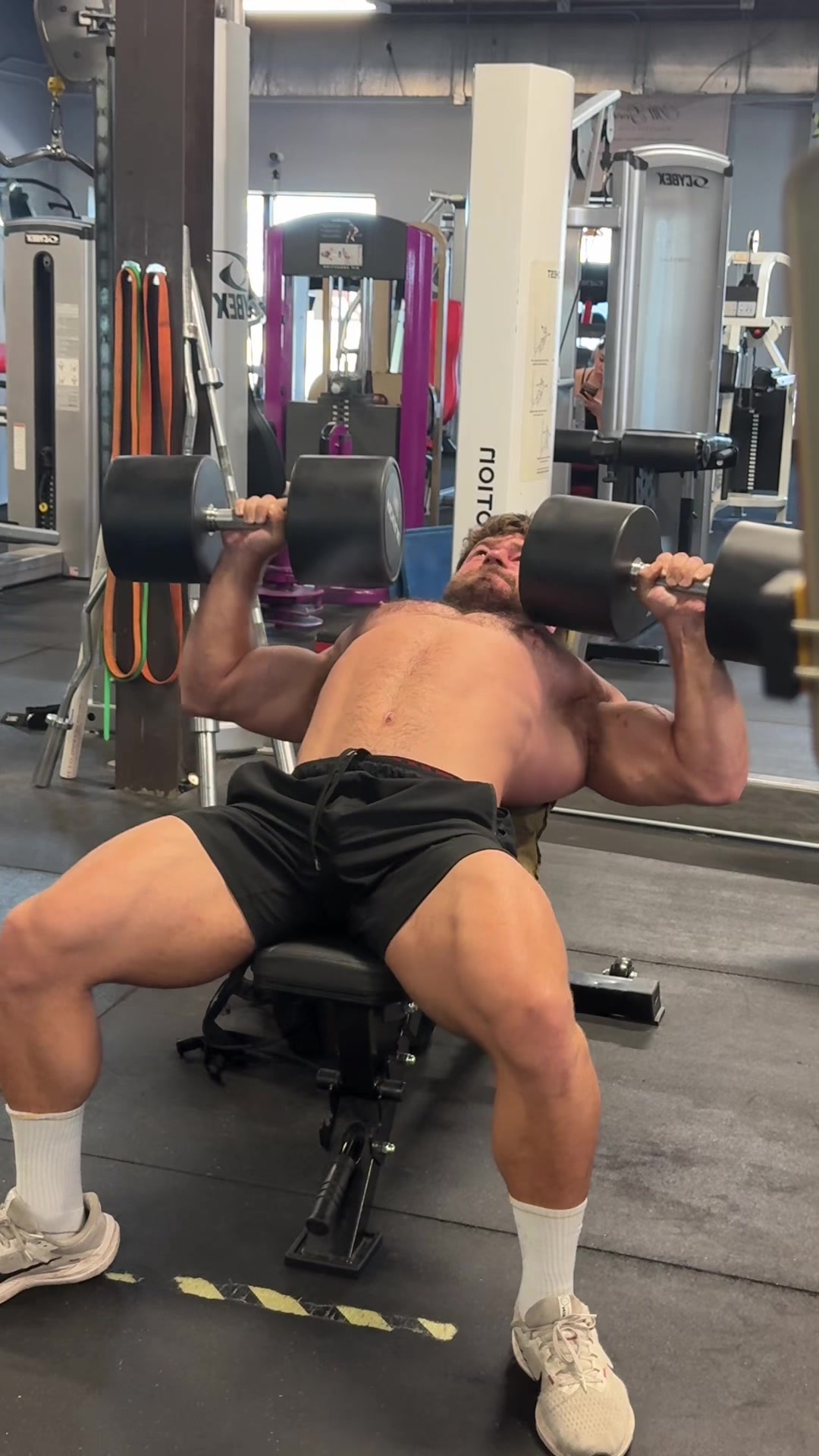 @Alex 🦍