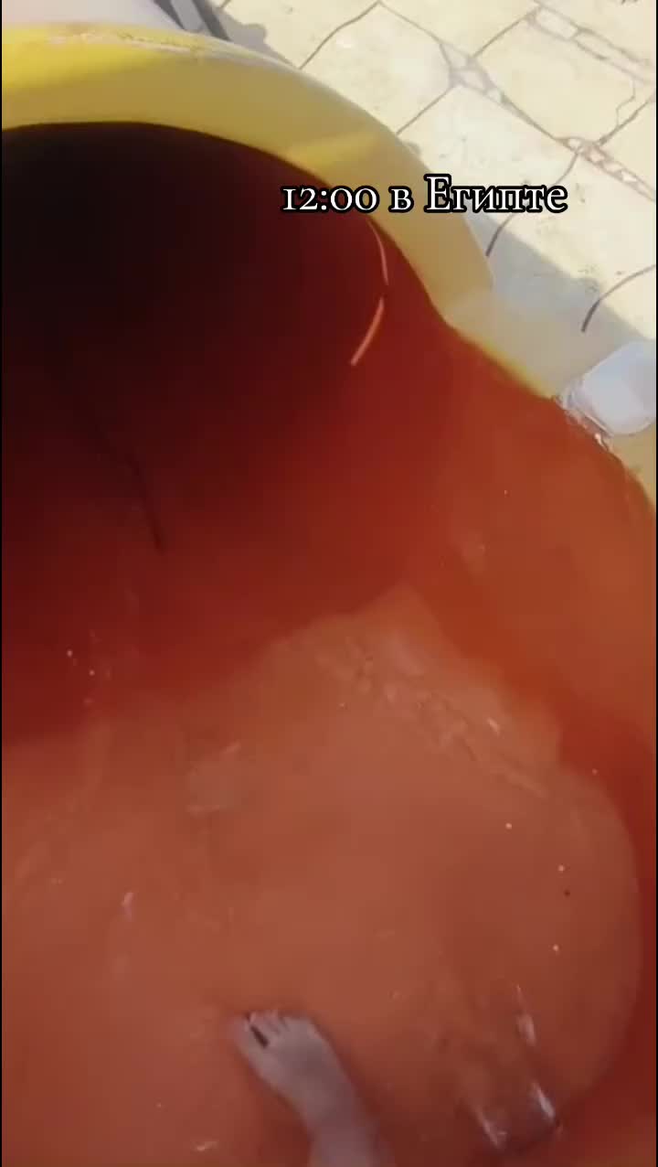 @๑𝓢𝓸𝓯𝓲𝓴𝓼.๑