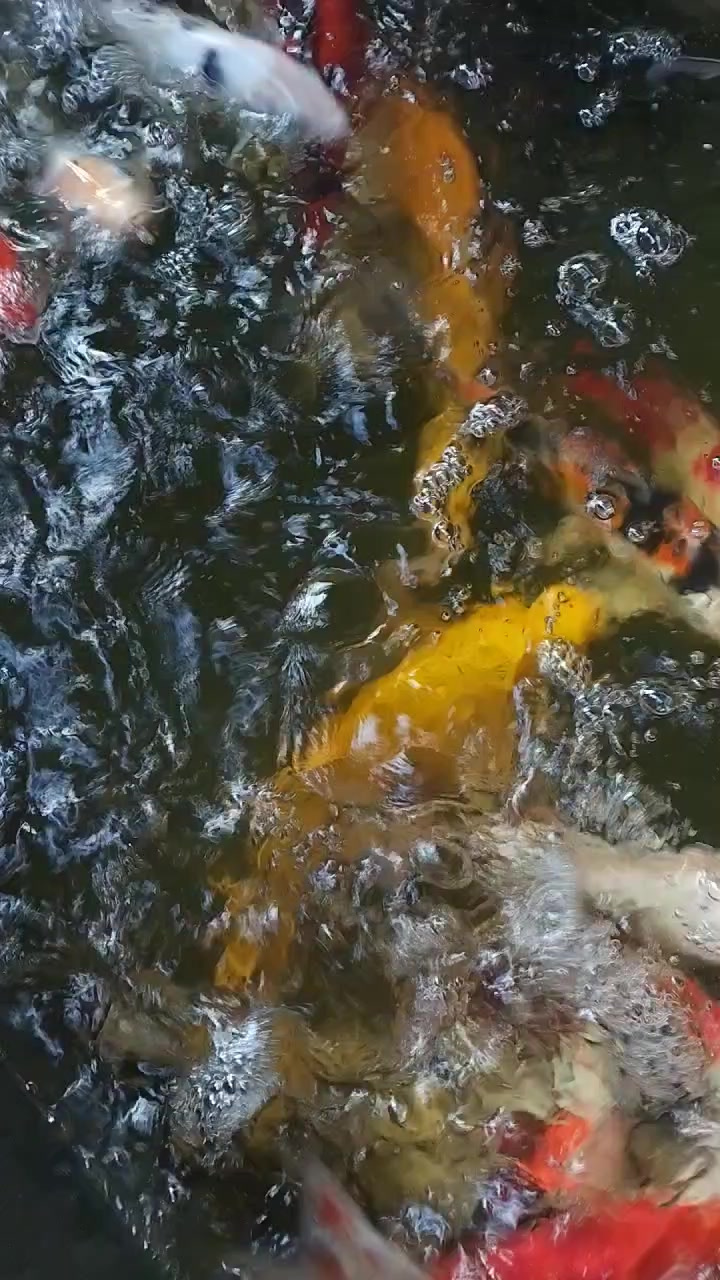 @PANGGALUISRAJ