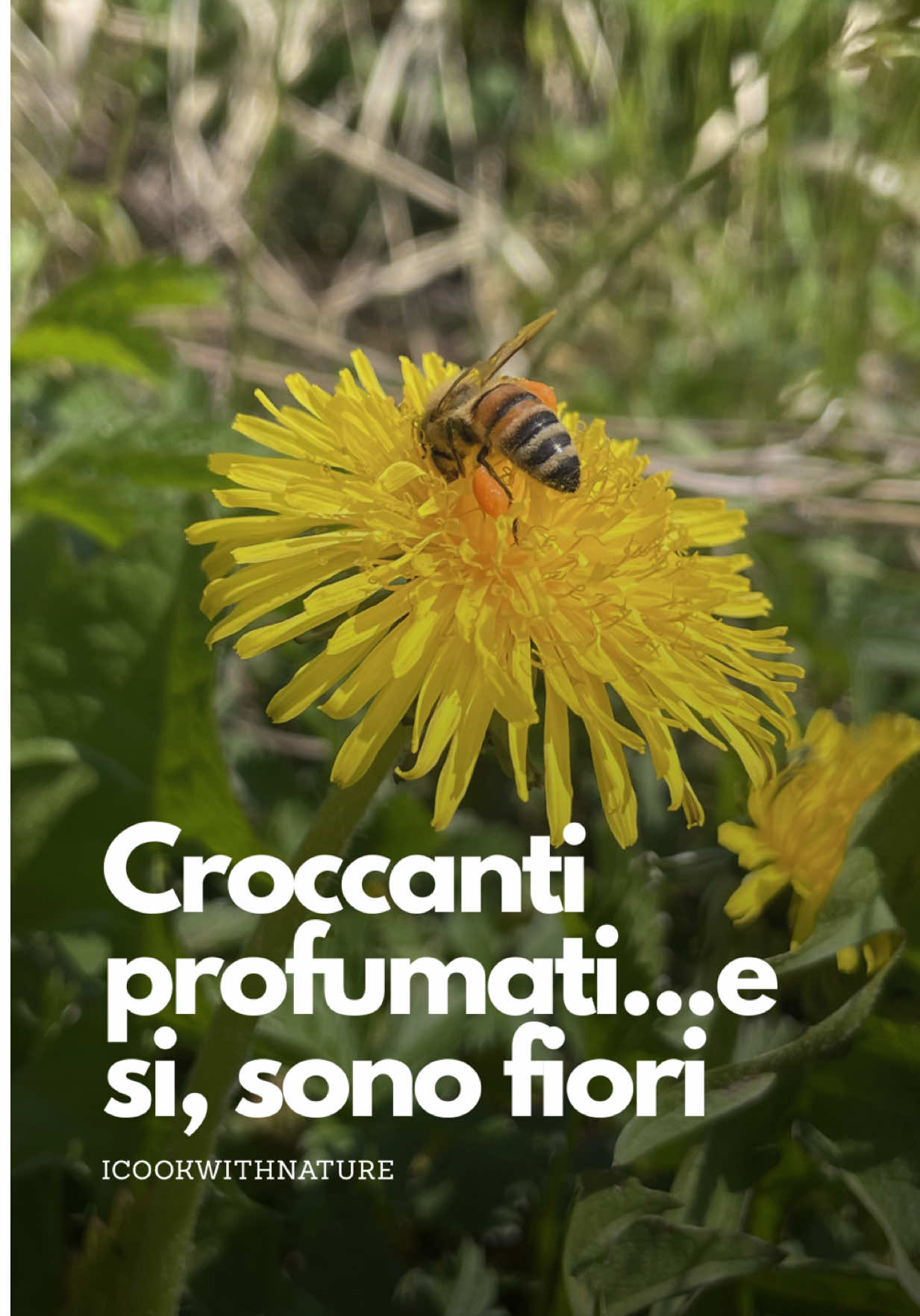 @icookwithnature