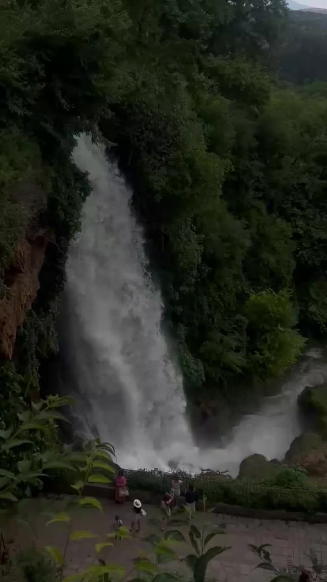 @matildasadiku6