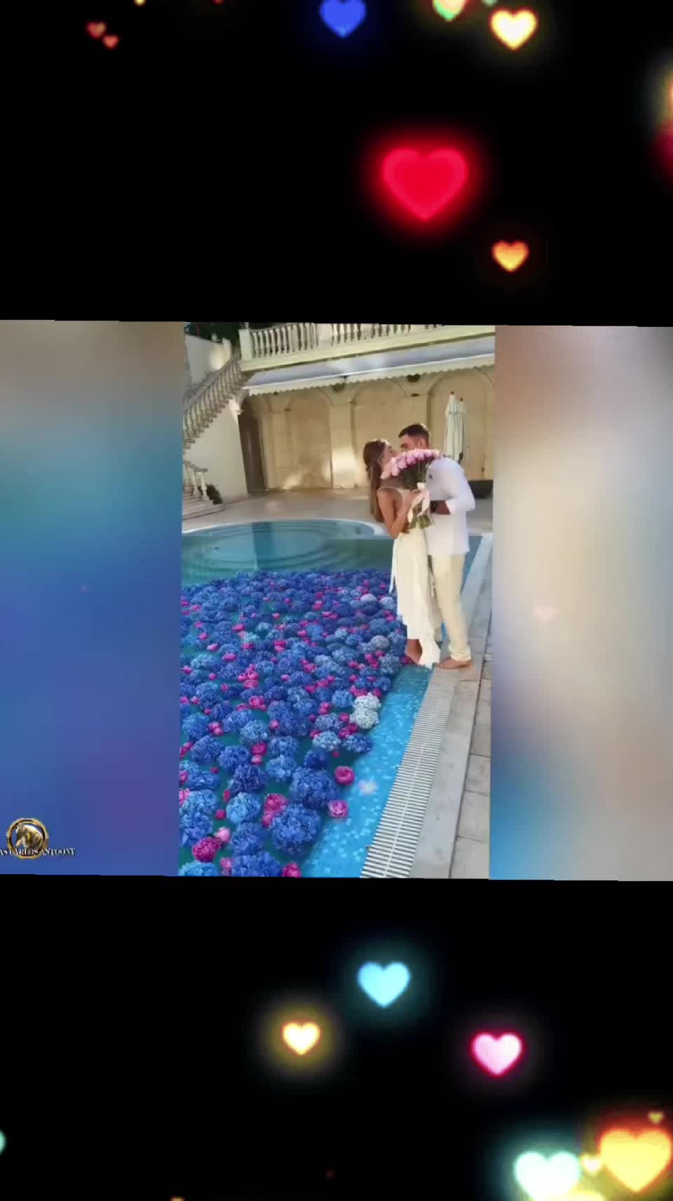@ℳ𝑜𝓃𝒾𝓀𝒶 ℛ𝒶𝒻𝒶𝑒𝓁𝑜𝓋𝒶