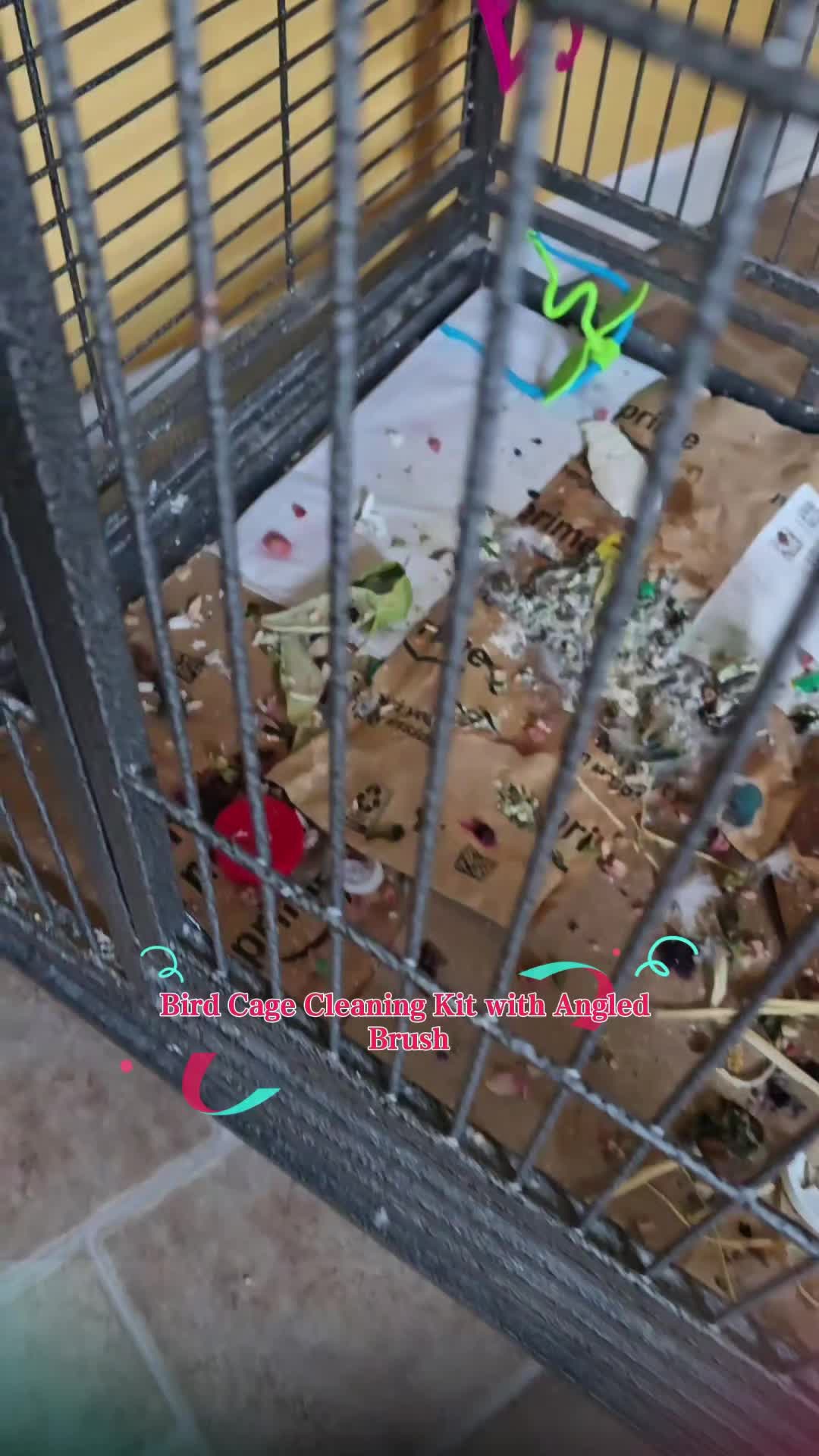 @🕴🏻Heisenbird🐦
