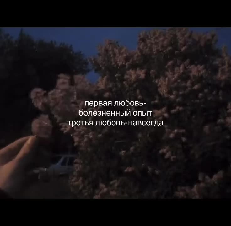 @асадьева