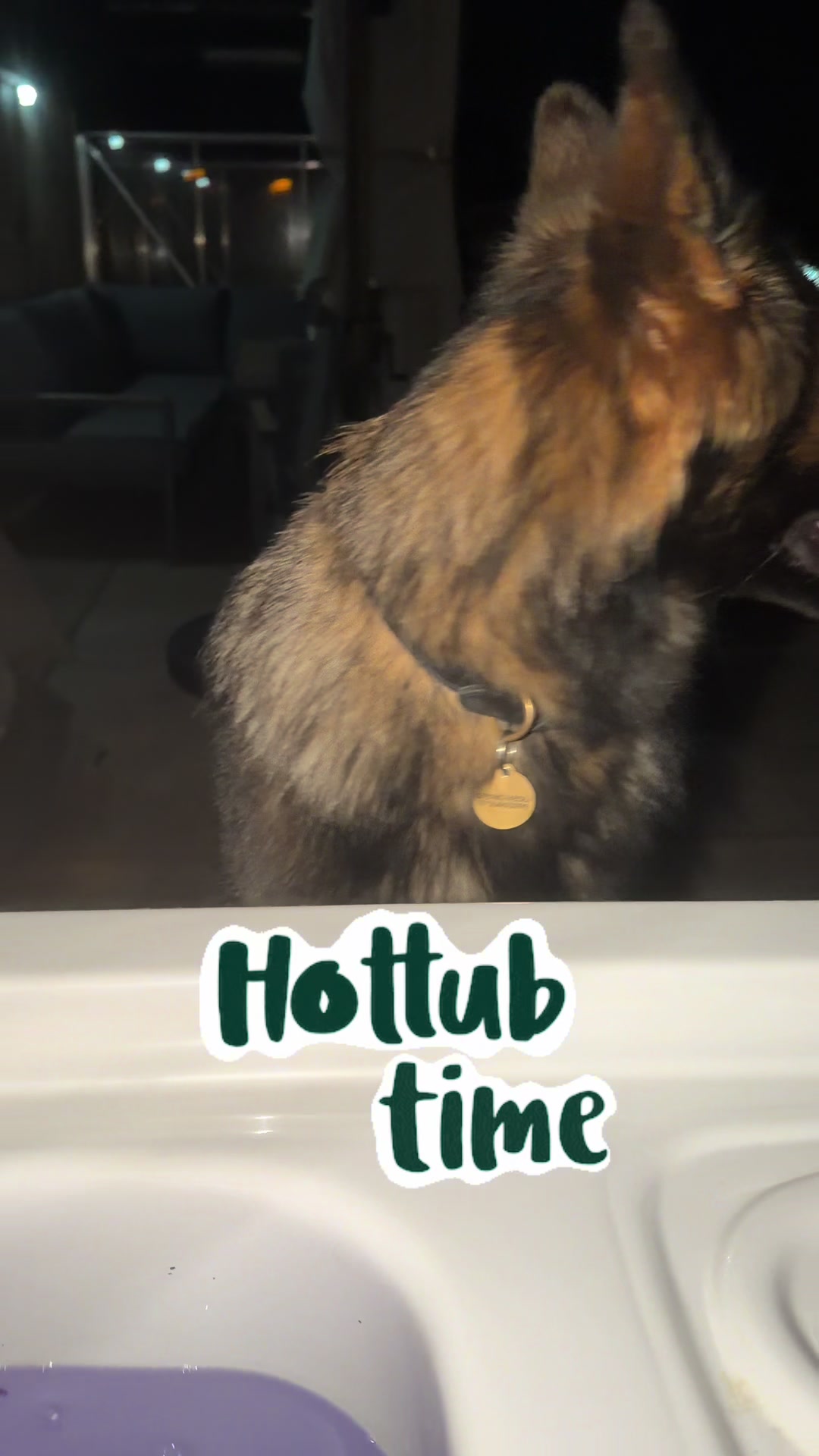 @TheGSDhubwithjennygould