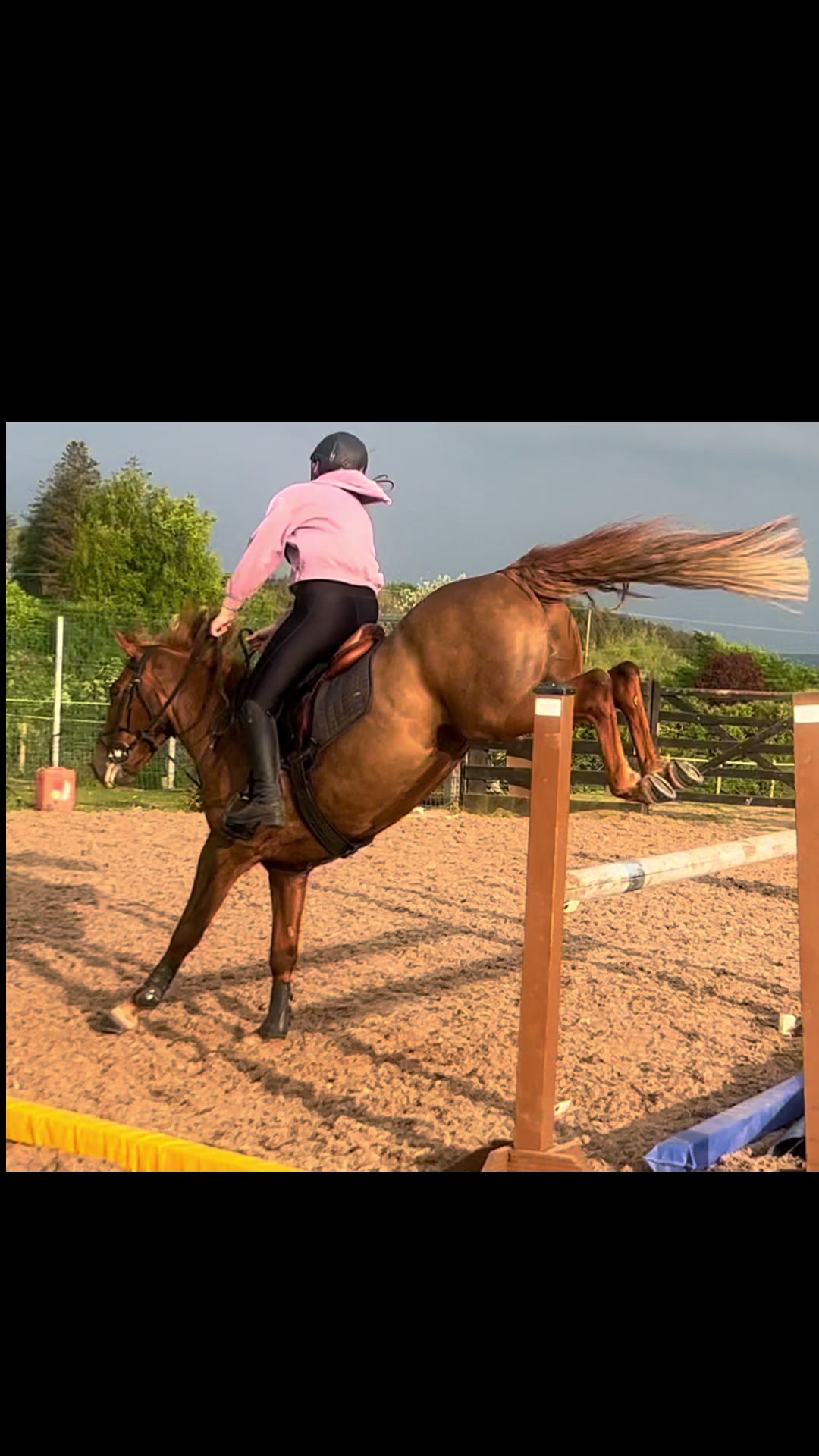 @🤍🐎Eloise🐎🤍