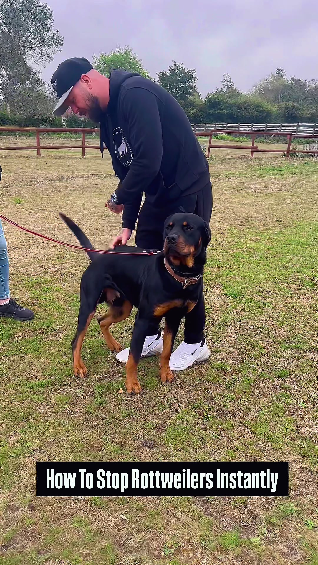 @SouthendDogTraining