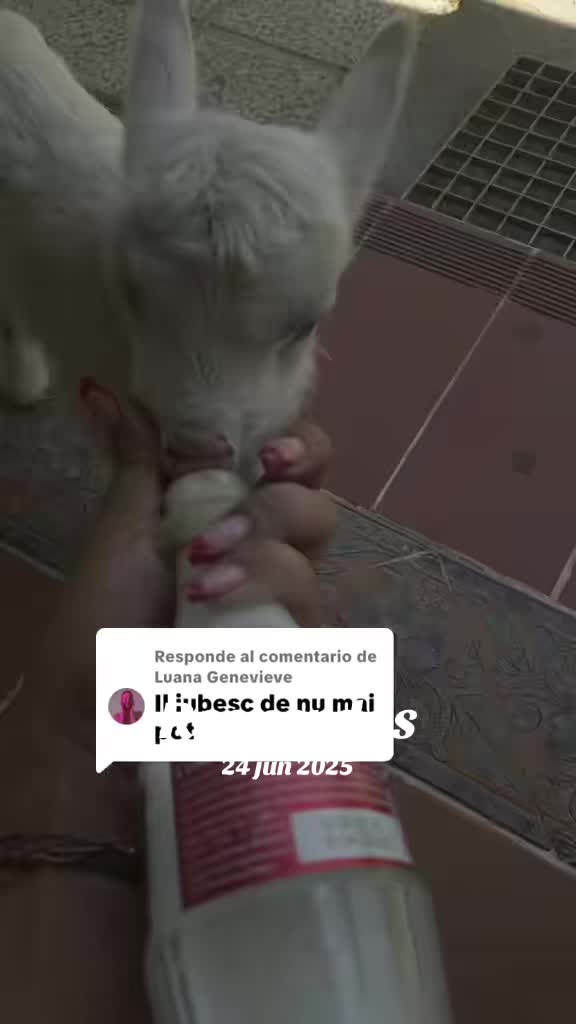 @✨𝕬𝖑𝖎𝖓𝖆𝕬𝖑𝖊𝖘𝖘𝖎𝖆✨