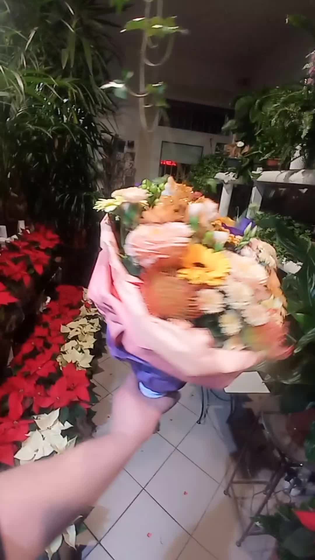 @Amarylis