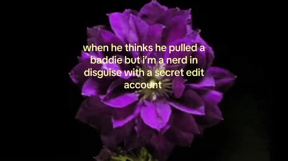 @𝑛𝑎𝑛𝑎🪽