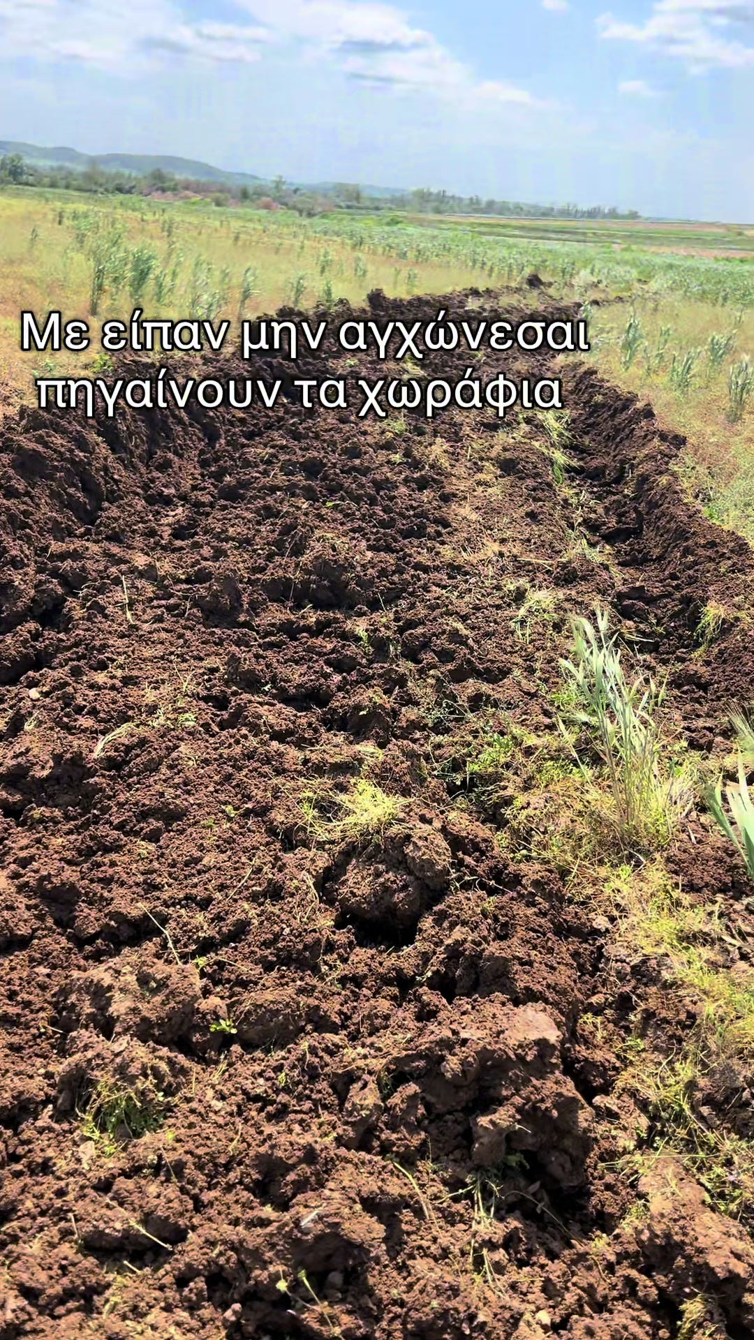 @EVAE FARM
