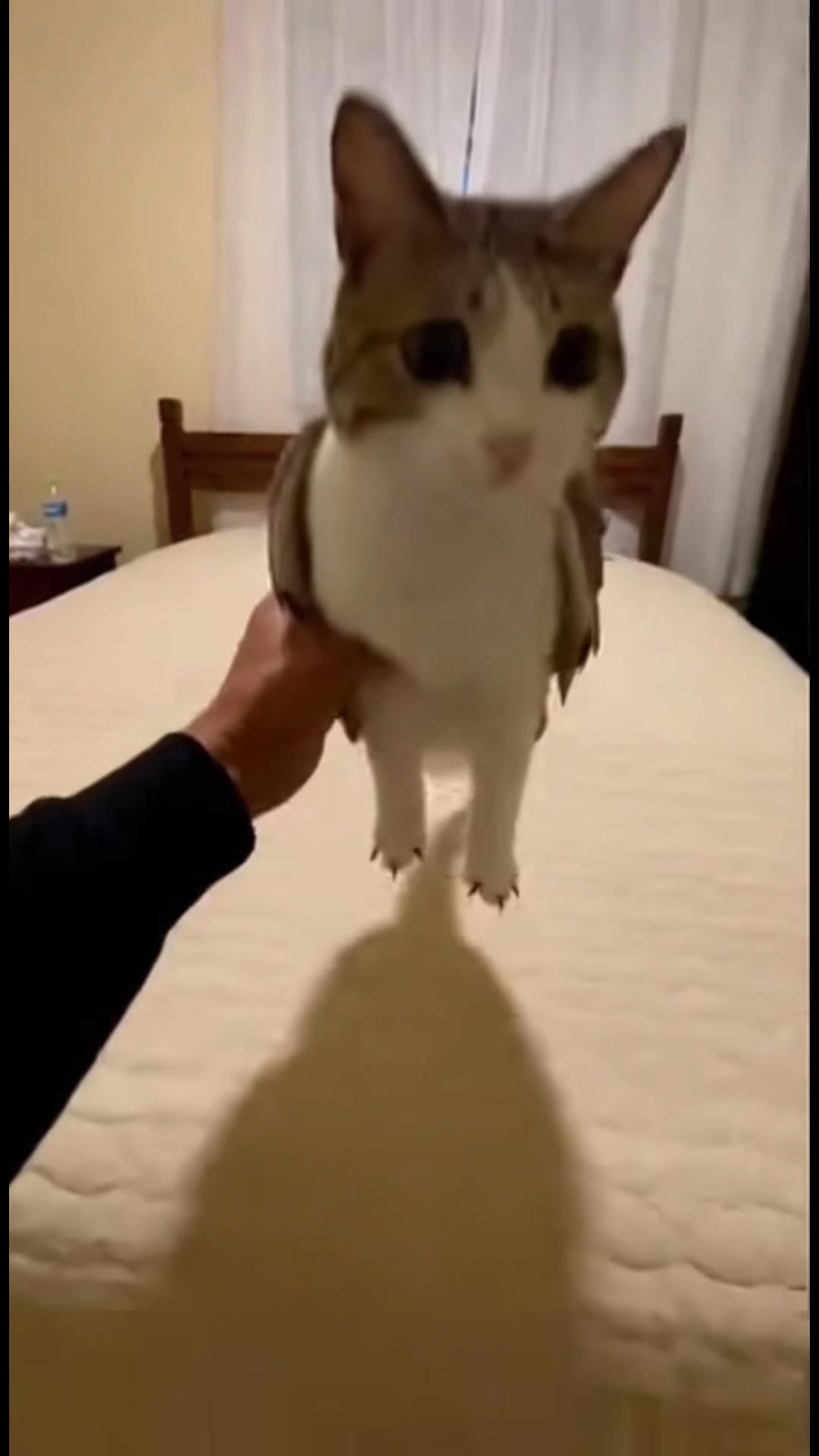 @⠀ ︎ ︎⠀ ⠀