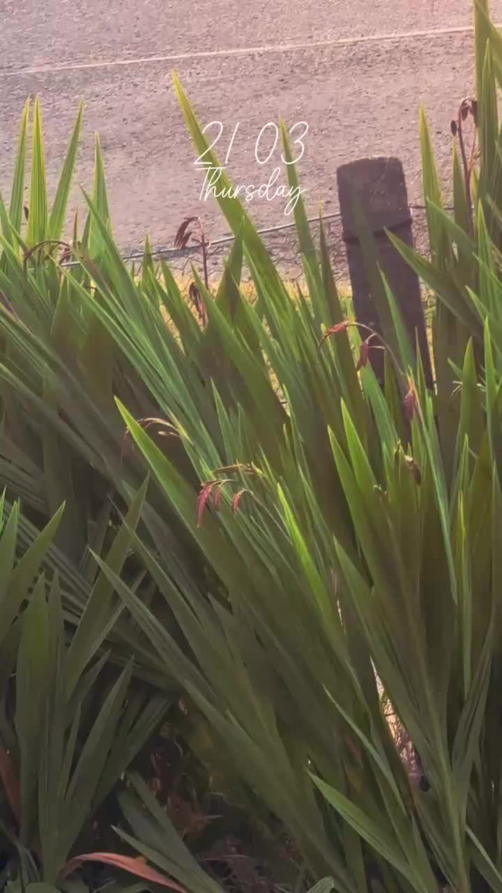 @DemiLeigh