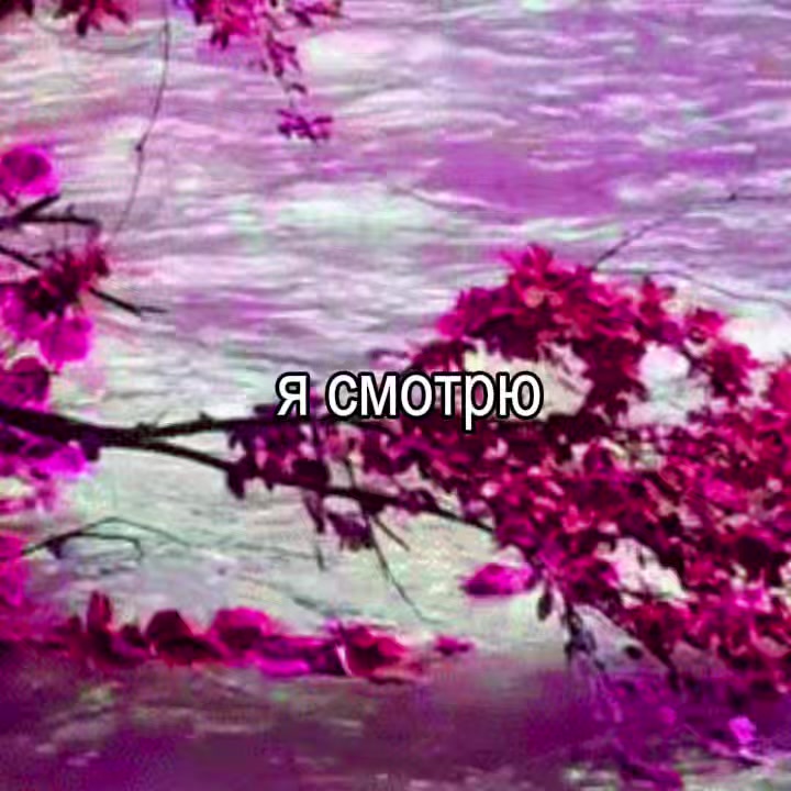 @n3xtday1