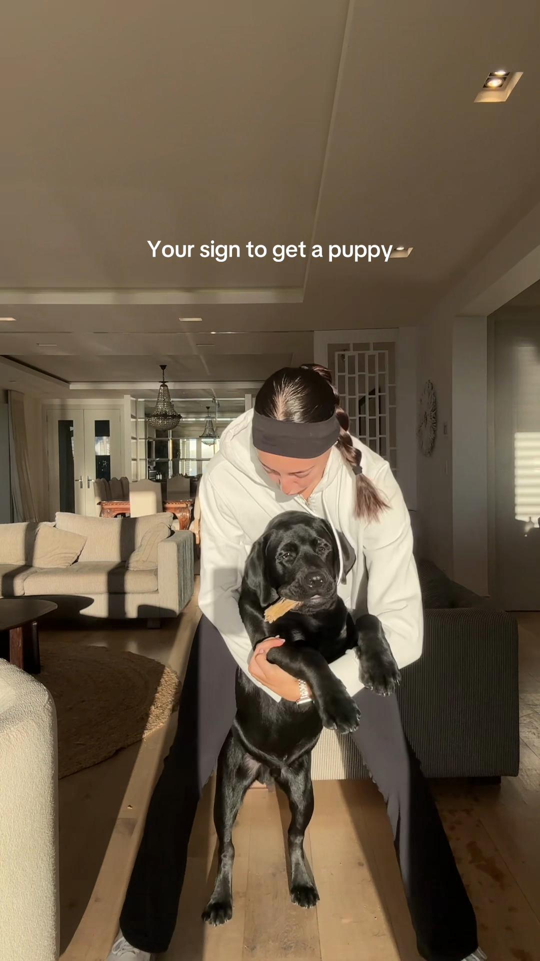 @rosie