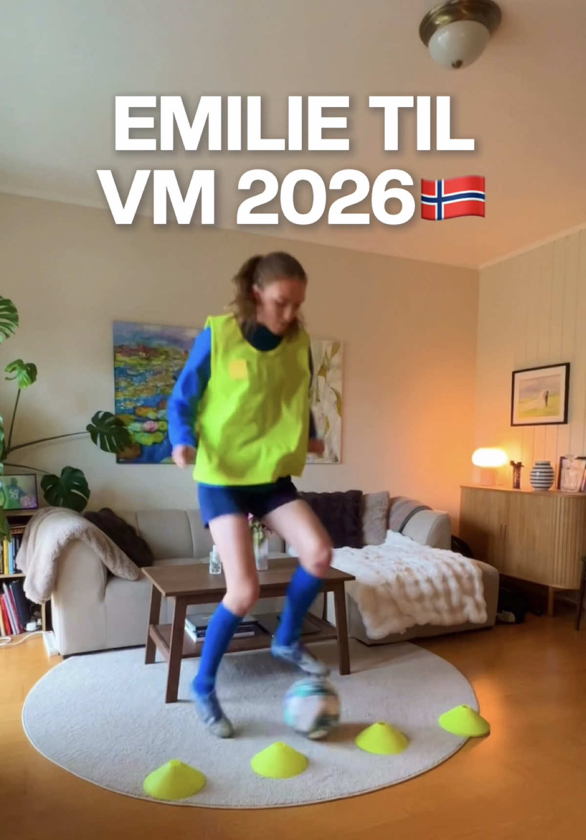 @Emilie Steinklev Lein