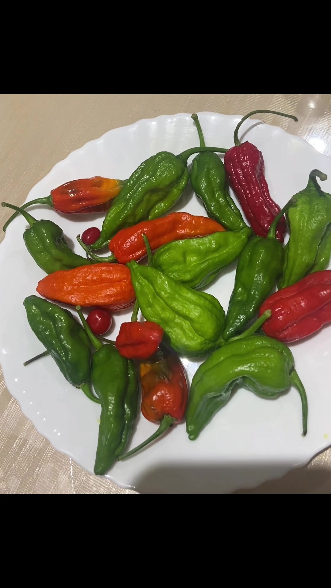 @Bangladeshi Cooking