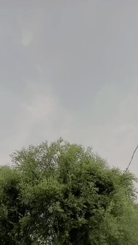 @Usman Dogar Pinda ayla