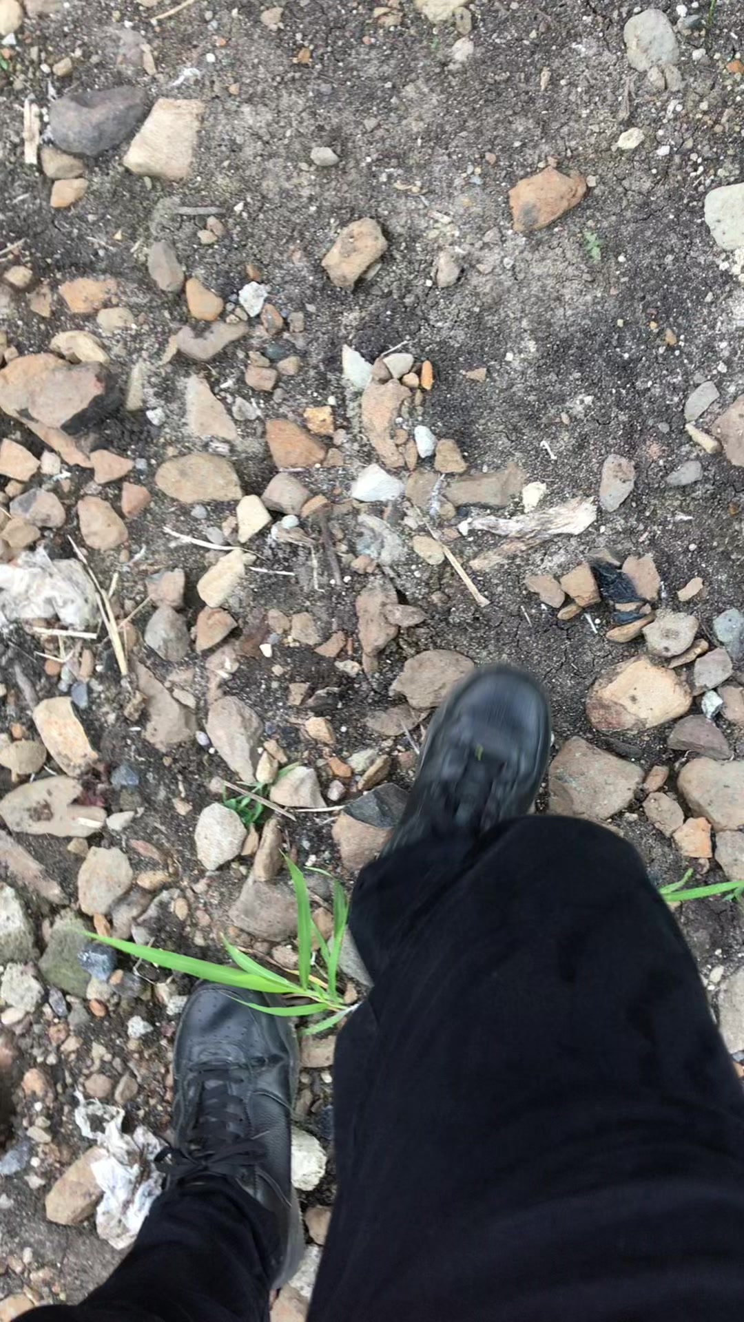 @Martinez503🇸🇻