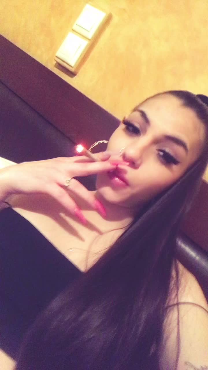 @matanikolaidh1