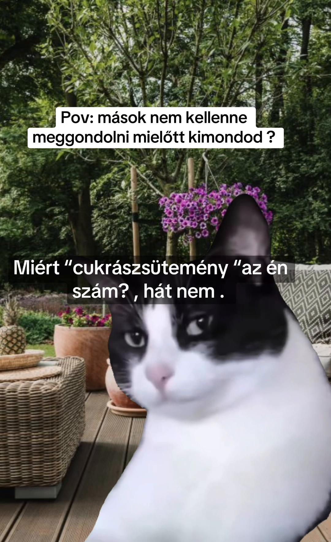 @Nem harap 🅰️ néni 🪷