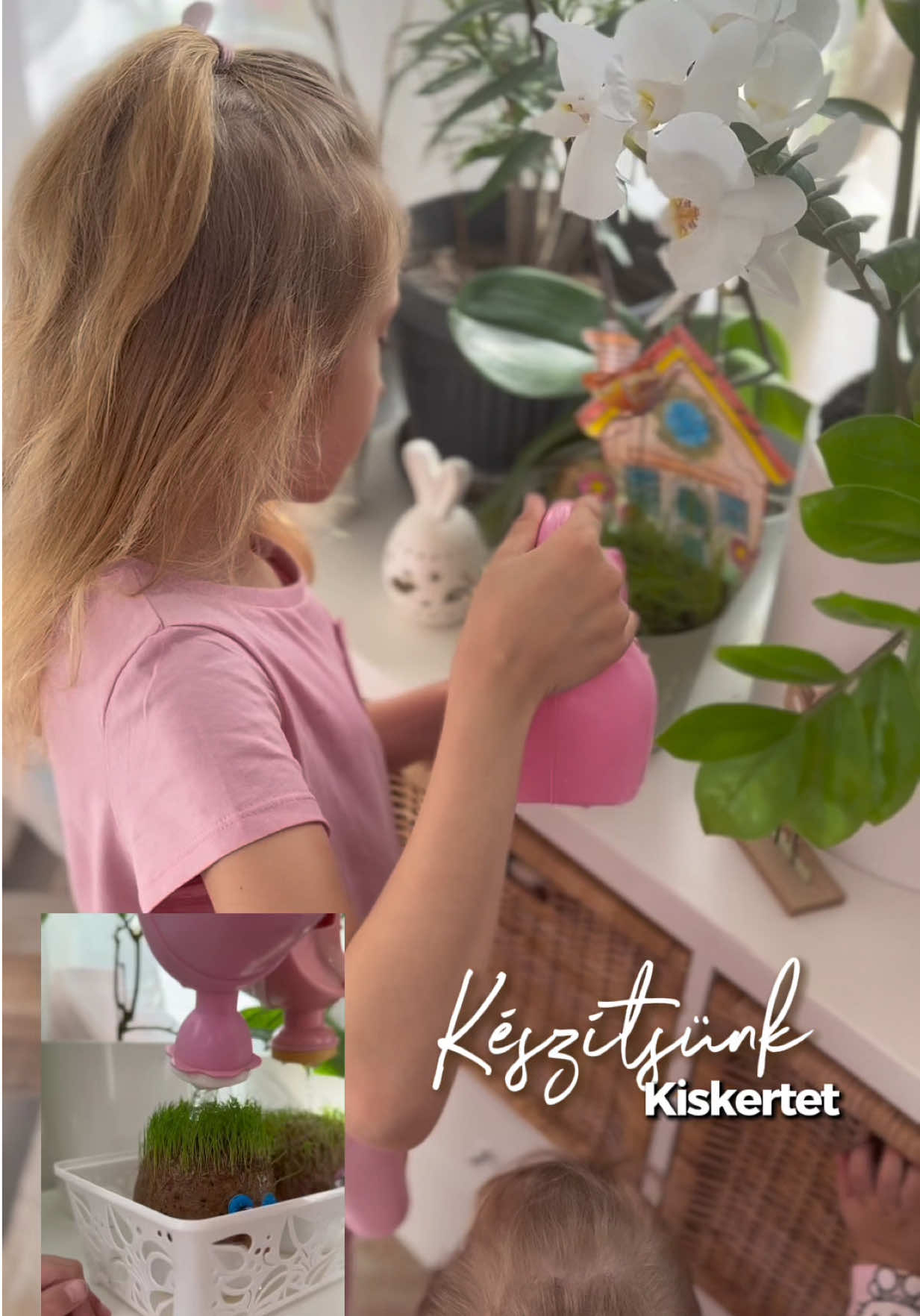 @Kmettyné Hegedűs Gabriella