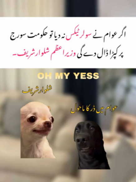 @𝙇𝙞𝙥𝙩𝙤𝙣 𝙠𝙞 𝘾𝙝𝙪𝙨𝙠𝙞