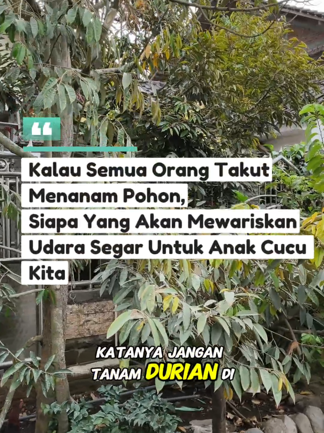 @LADIN ECOFARM STORE