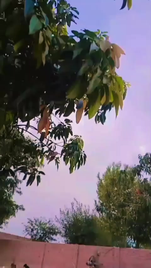 @Sajjad Ahmed