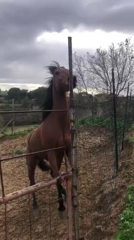 @Elisa Pilotta