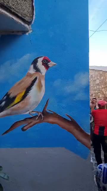 @Berberetelevision