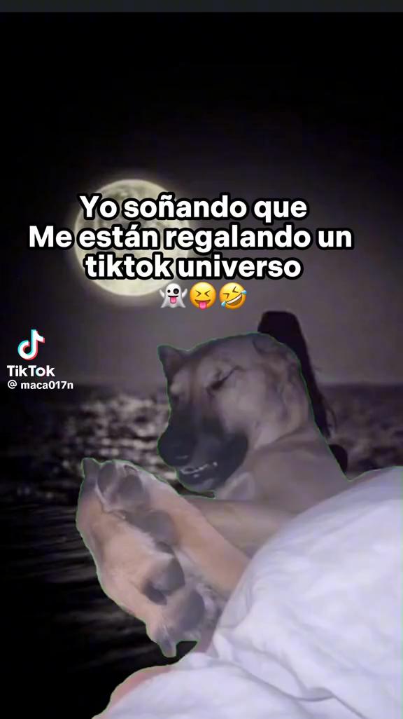 @Aylinfernanda22