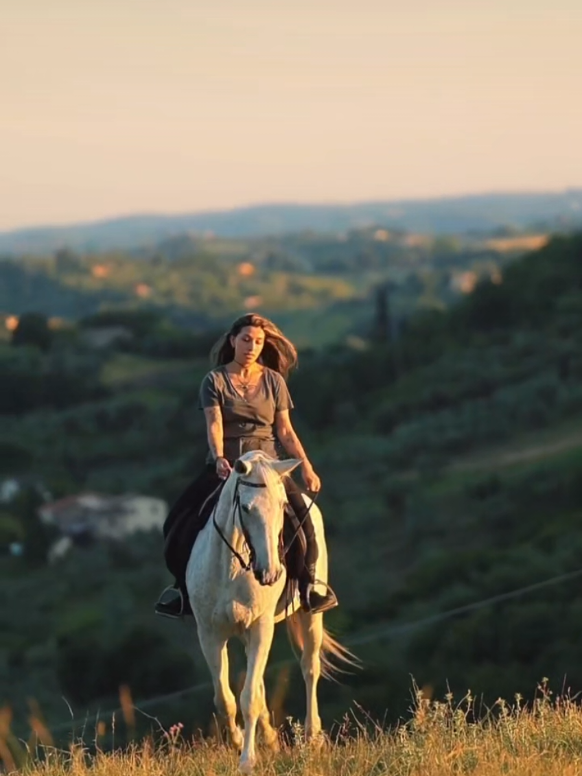 @streamhorse