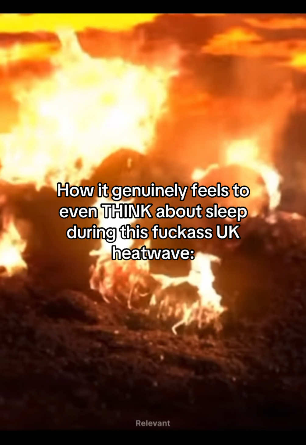 @Relevant