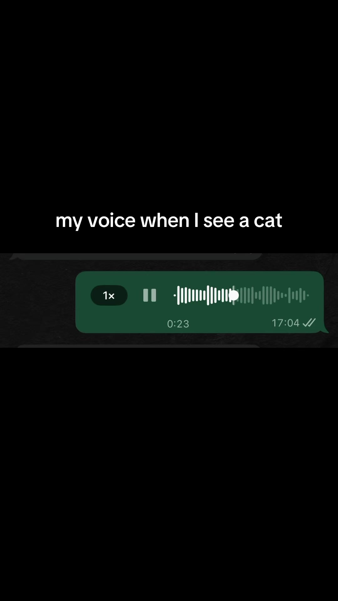 @Arielle Peach