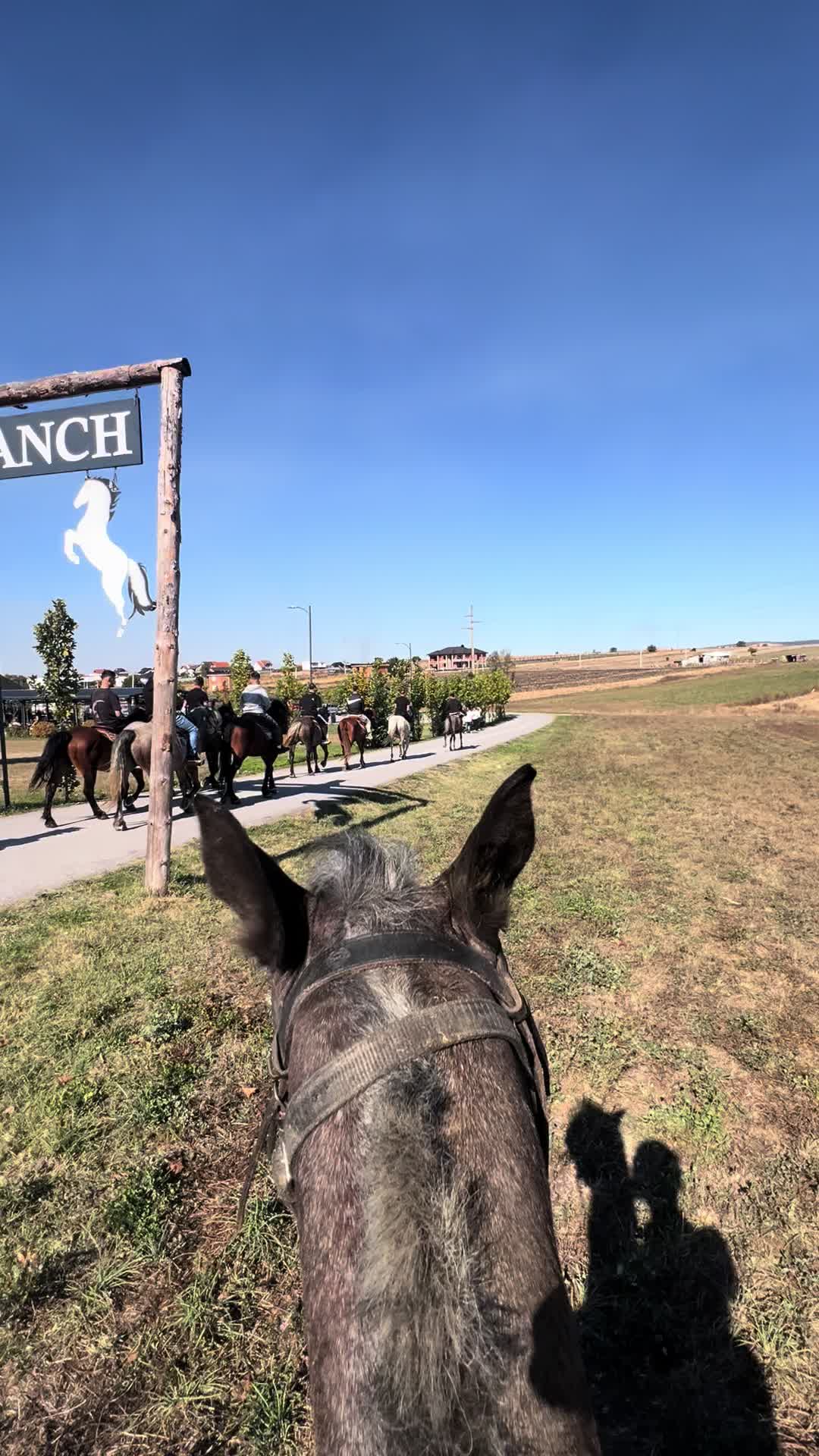 @BERTI RANCH 🐎