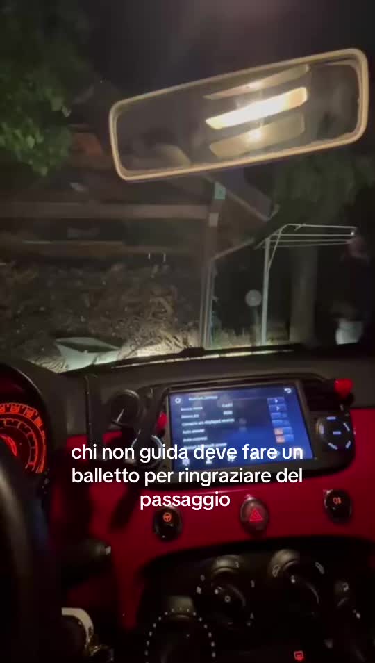 @erika con la k