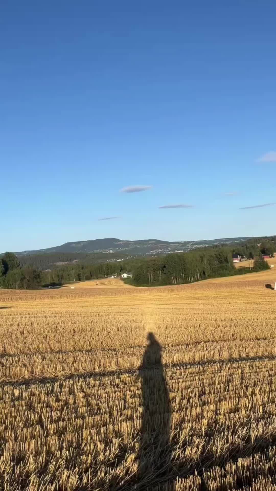 @fredrik.austlid