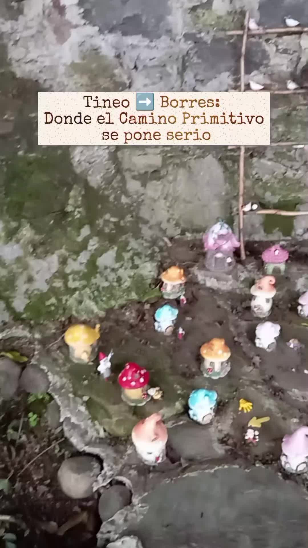 @CAMINOQ+