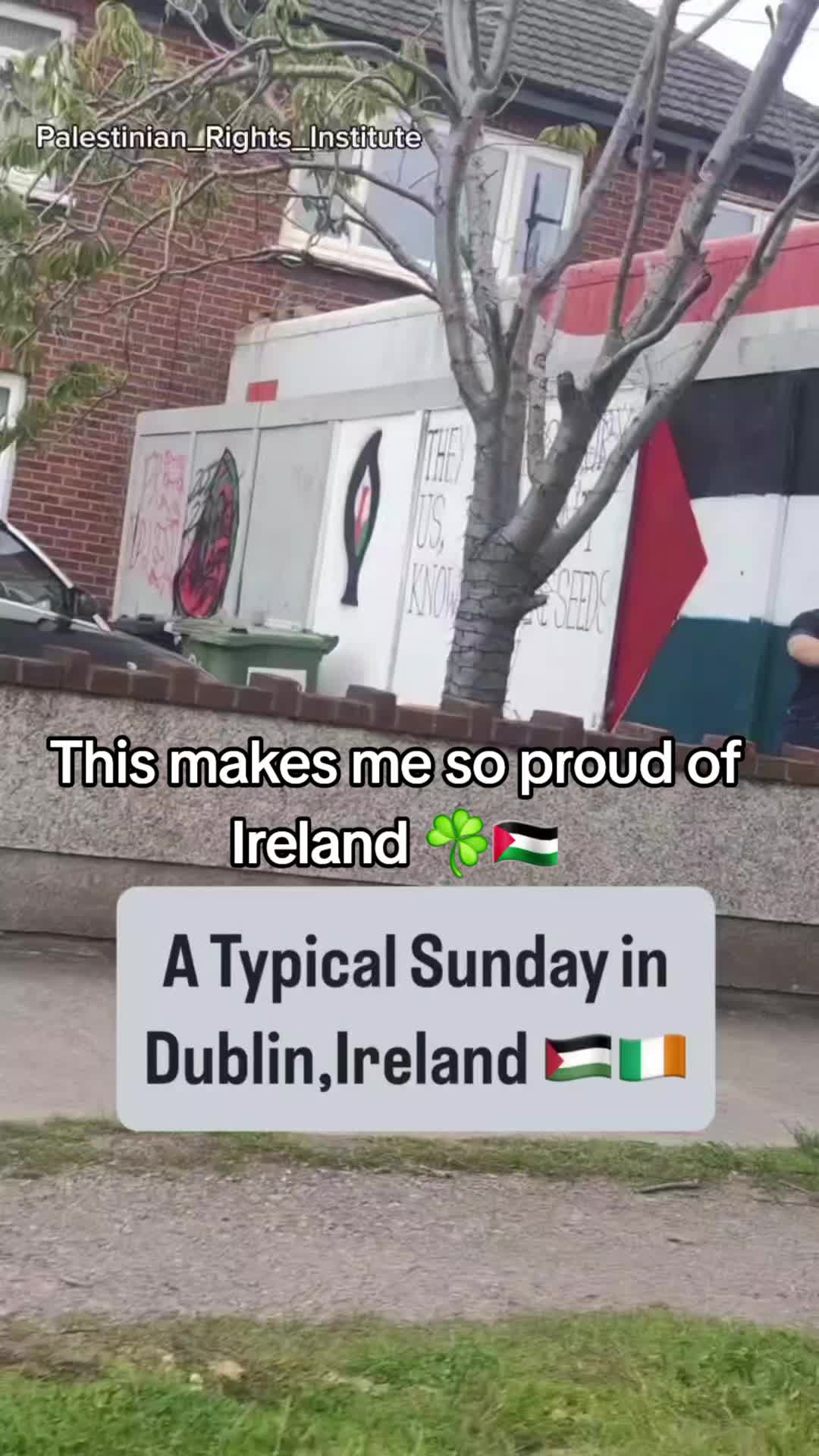 @Amina🇮🇪🇵🇸