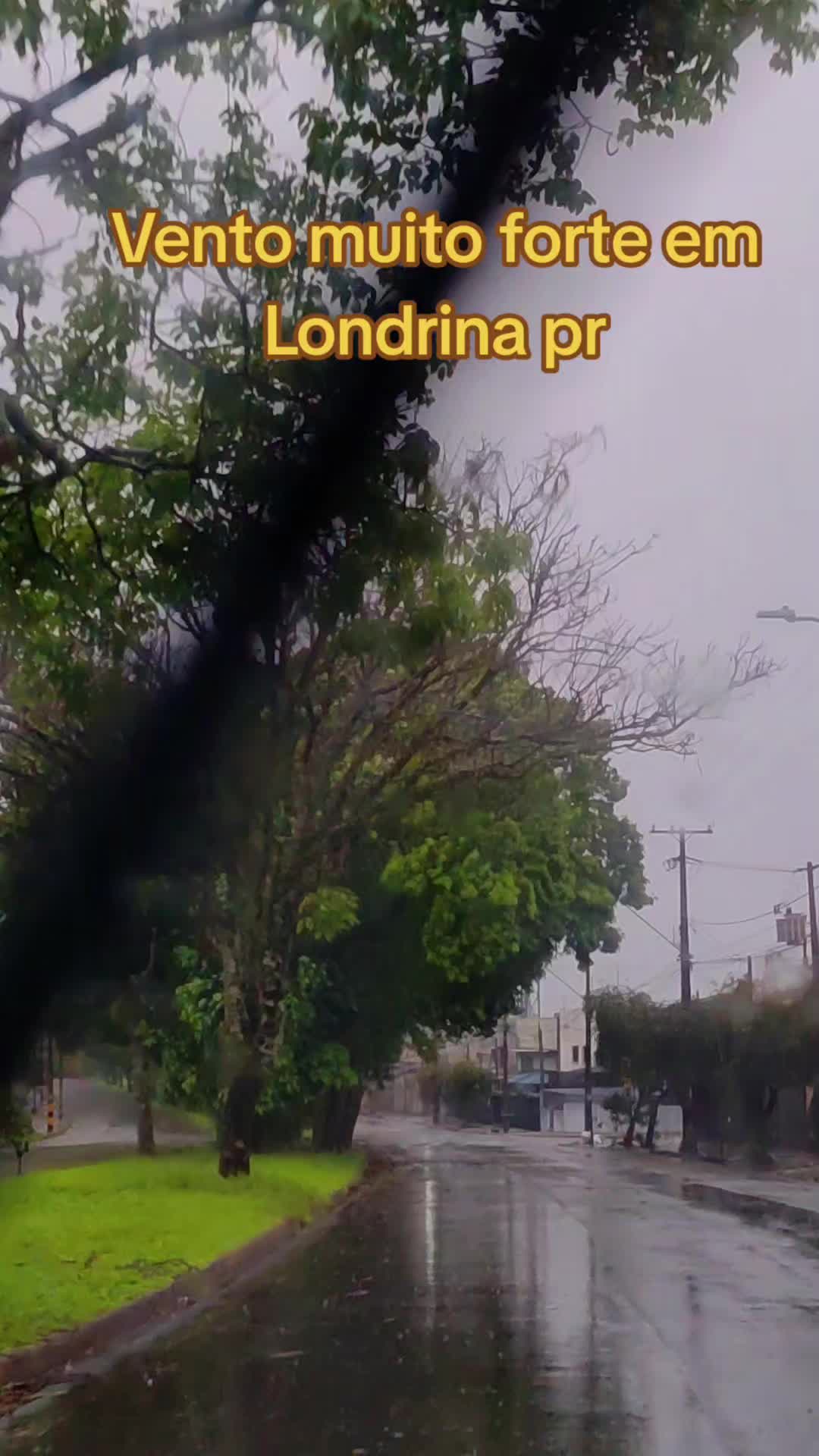 @Paranaense TK