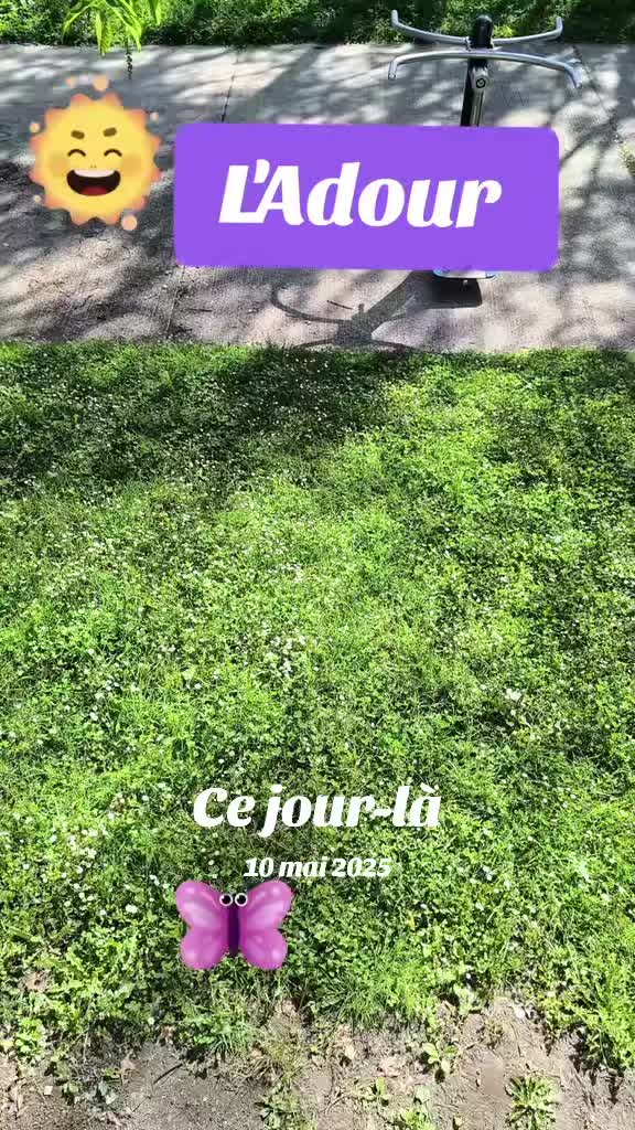 @👑🚀🐯Lolo89 Bank$🦩🚀👑