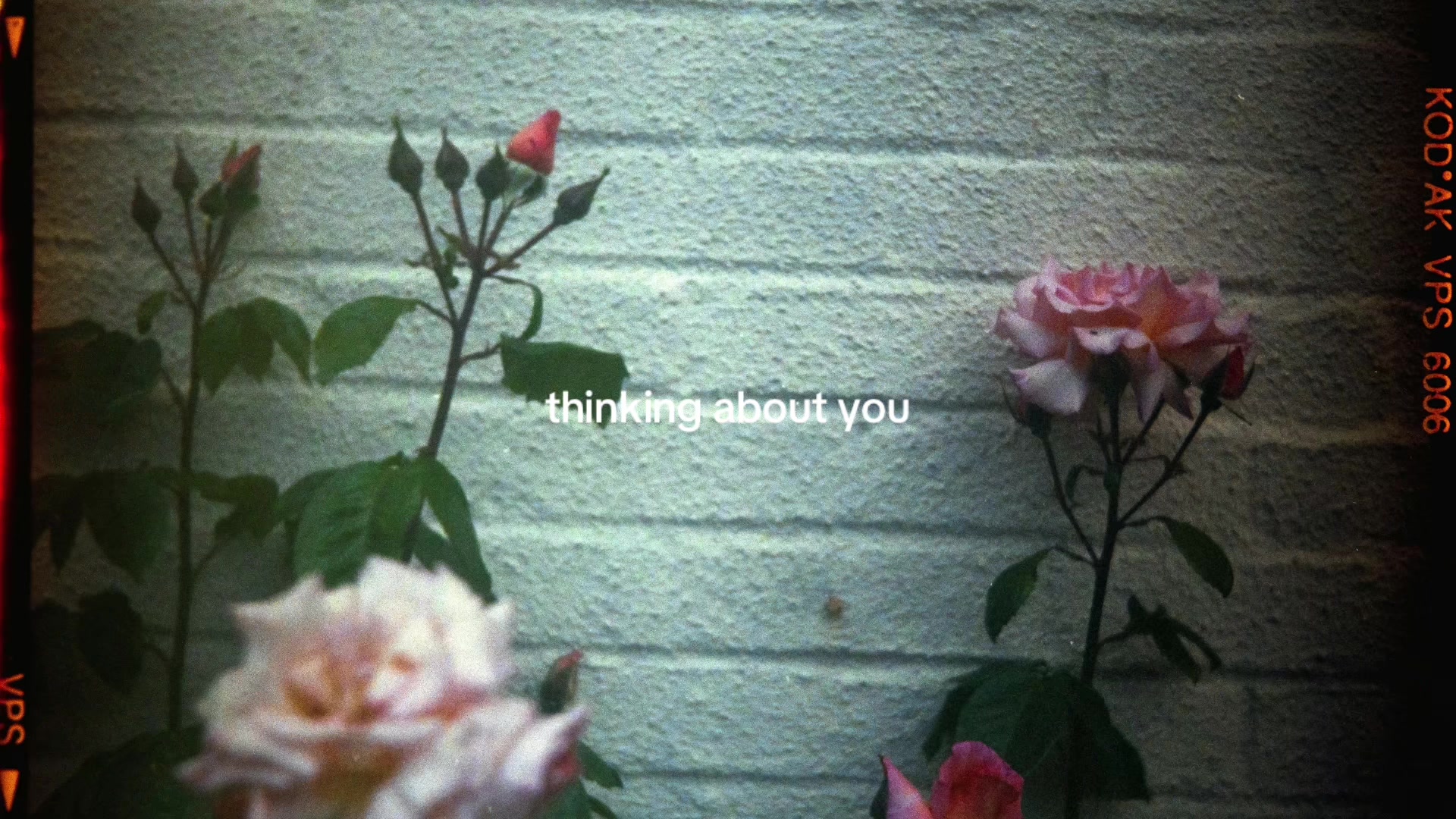@theyearning.archive