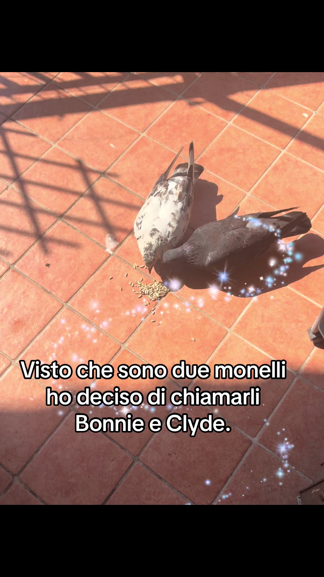 @Pina Varriale
