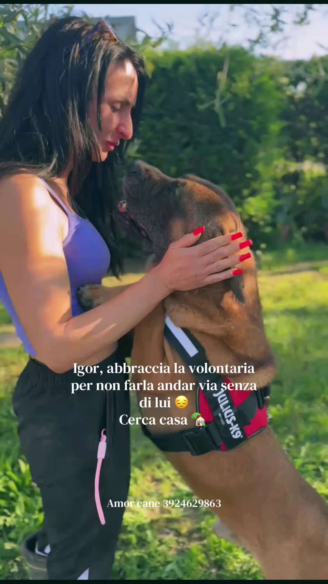 @Amor cane