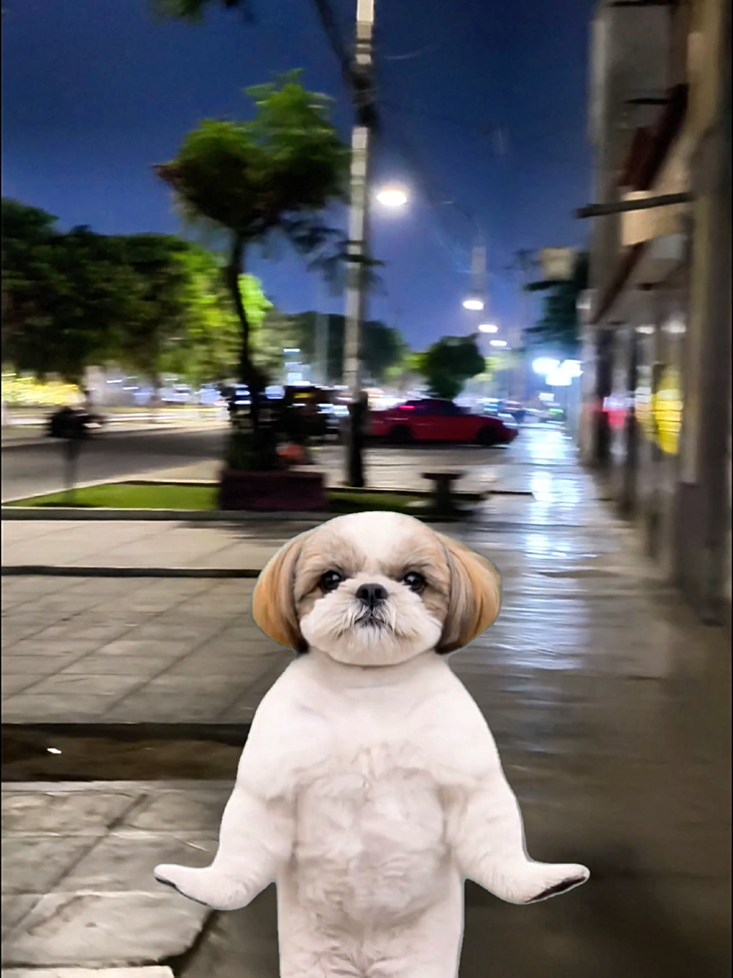 @๐ป ๐ ๐ ๐ฝ ๐ถ ๐ฟ ๐พ ๐ป