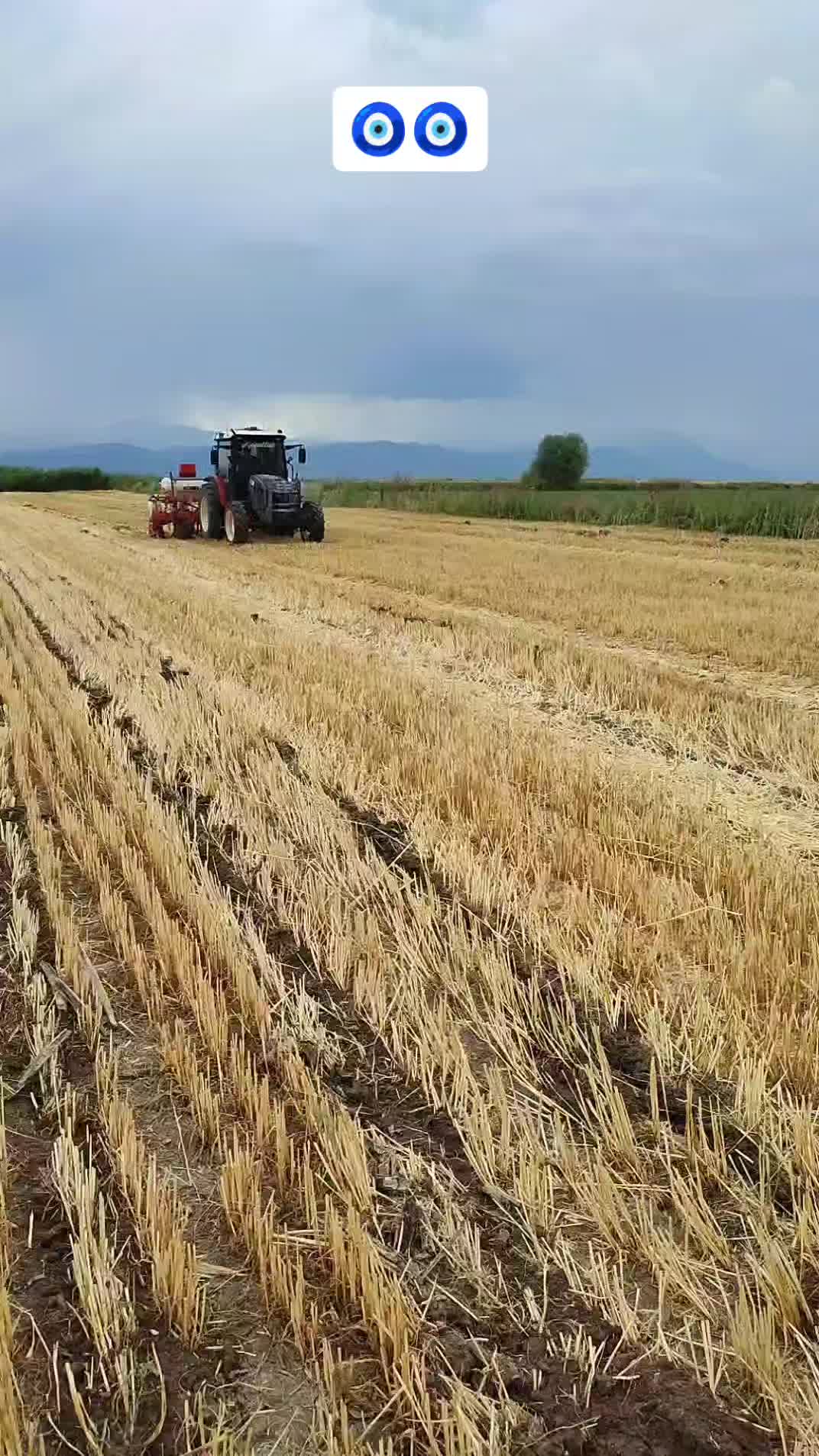 @M&uuml;cahit Korkut